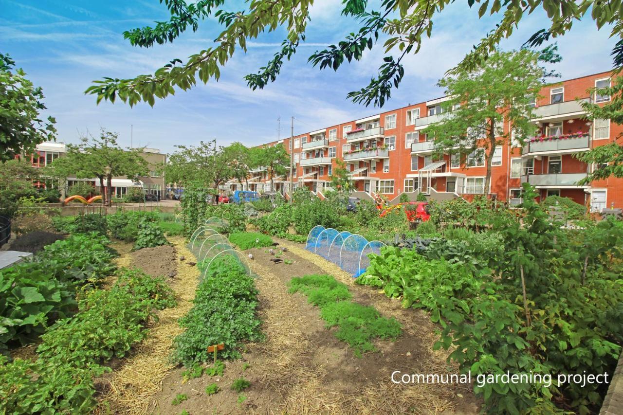 New Monumental Garden View Studio Amsterdam Zimmer foto